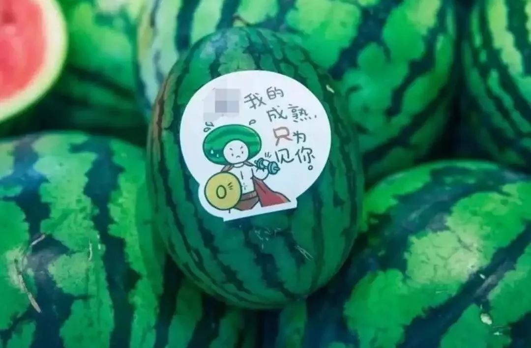 网红最新瓜深度解析与观点阐述，揭秘背后的真相与故事