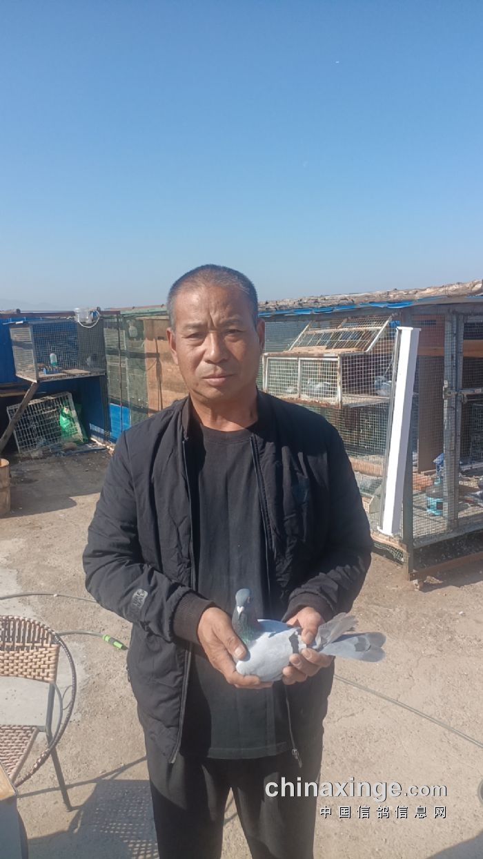 健伪天元公棚最新通告，启程共舞大自然，探索未知之旅