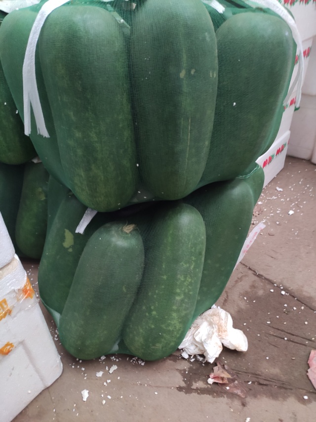 探寻冬瓜行情，励志之旅在波动中找寻自信与成就