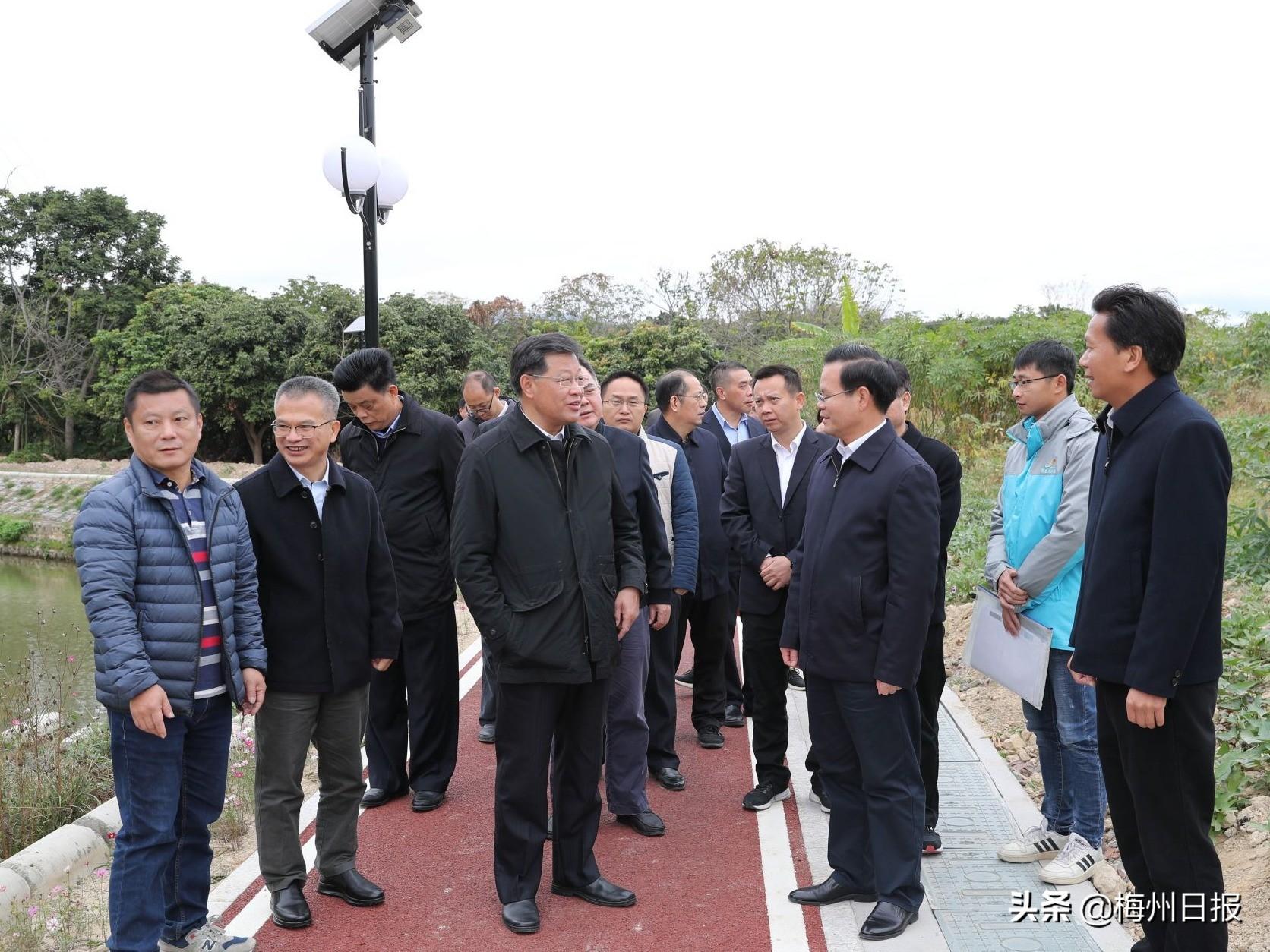丰顺碧桂园最新房价信息及获取指南