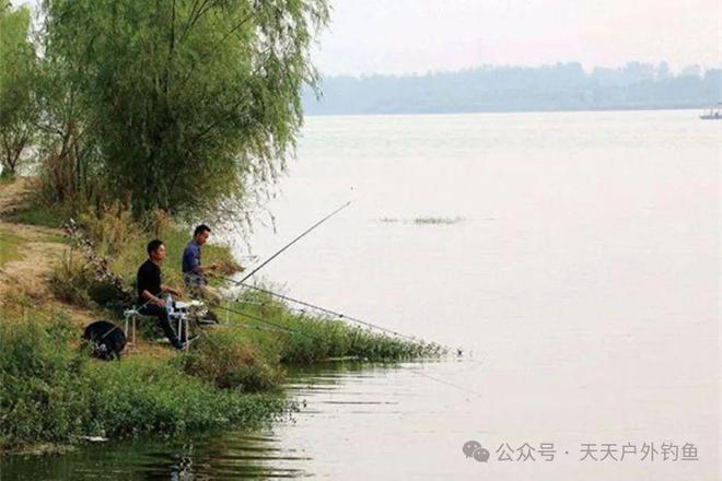合肥野钓热门新地点探寻，最佳垂钓胜地推荐