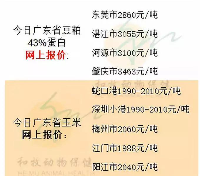 今日广东河源猪价行情,今日广东河源猪价行情分析