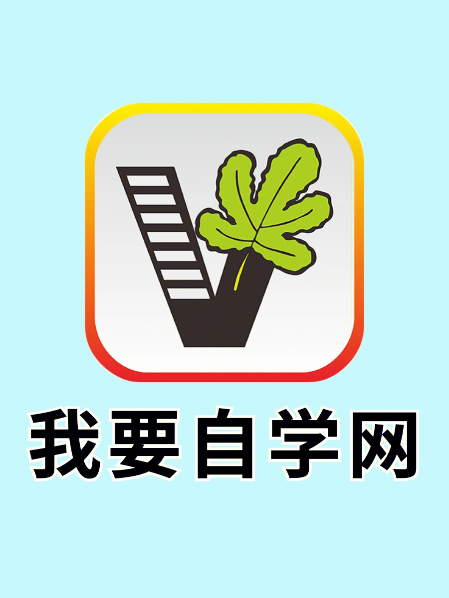 最新自学网，小巷深处的秘密宝藏与特色小店的奇妙探索
