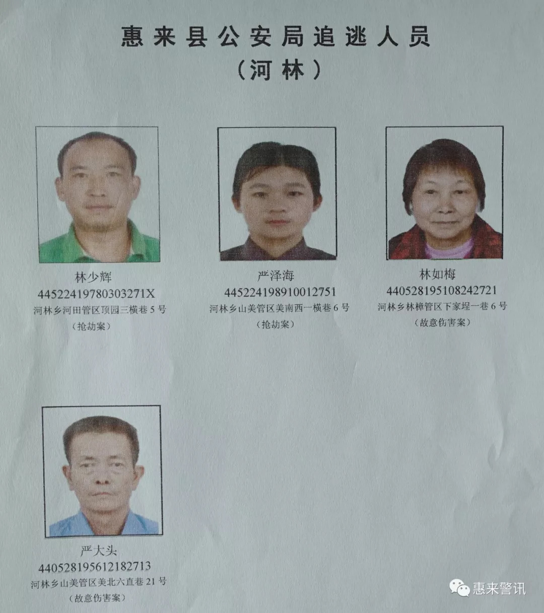 惠来小城日常，温馨新闻与家的故事