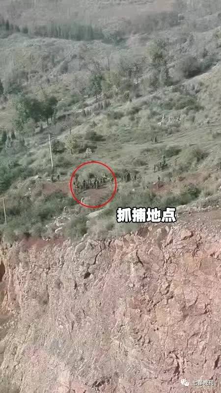 张林苍最新新闻动态，提升阅读技能，轻松掌握资讯获取之道