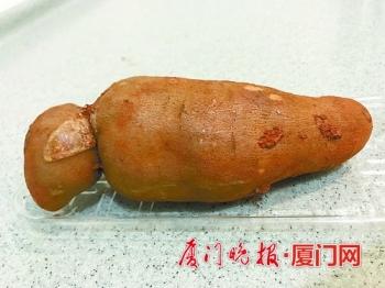 广东红薯最新行情揭秘，科技助力下的市场趋势与价格动态