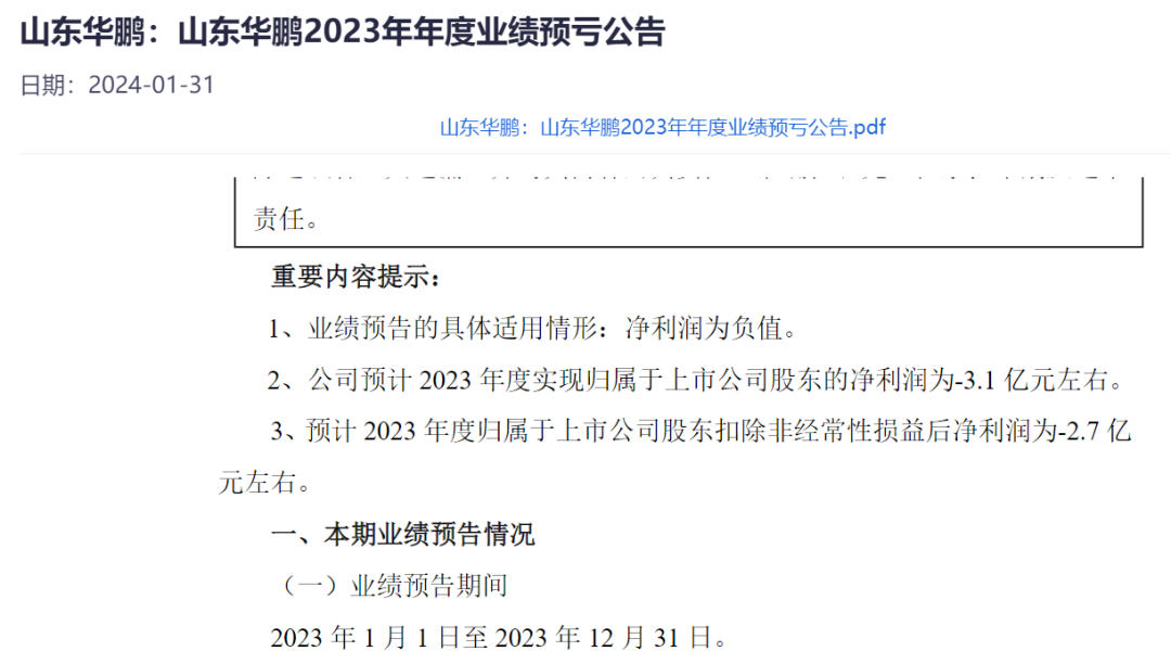 山东华鹏最新公告发布，关注最新动态与公告摘要