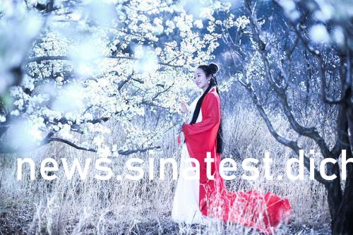 韩国媚娘最新图片大全，获取指南与美图欣赏