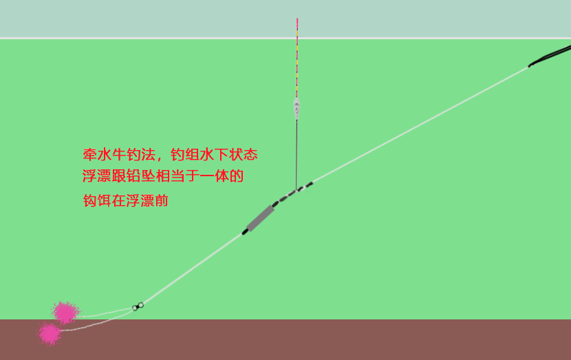 江畔钓鱼奇遇，最新潮汐表揭秘与友情的温暖纽带