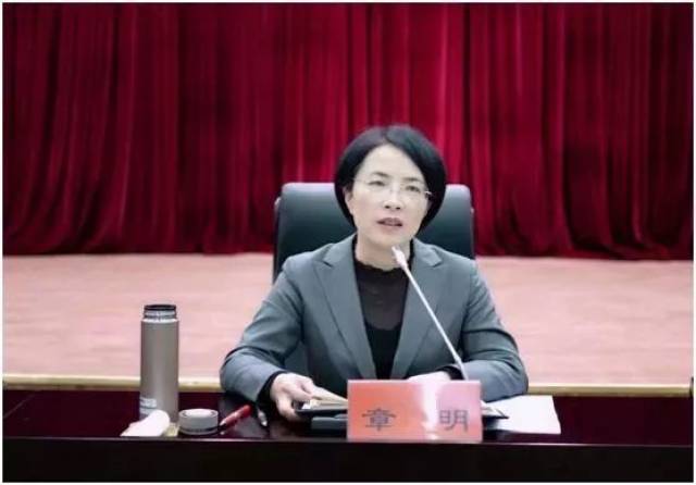 乐清市最新常委解读与观点阐述，成员构成与职能分析
