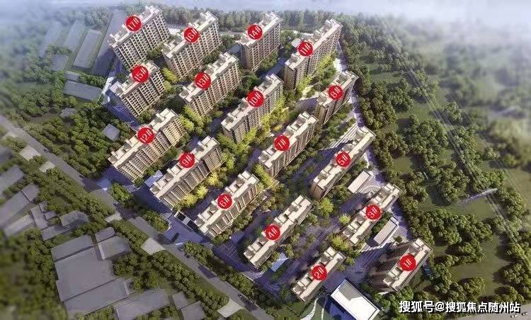 乙克最新动态，铸就新时代的传奇