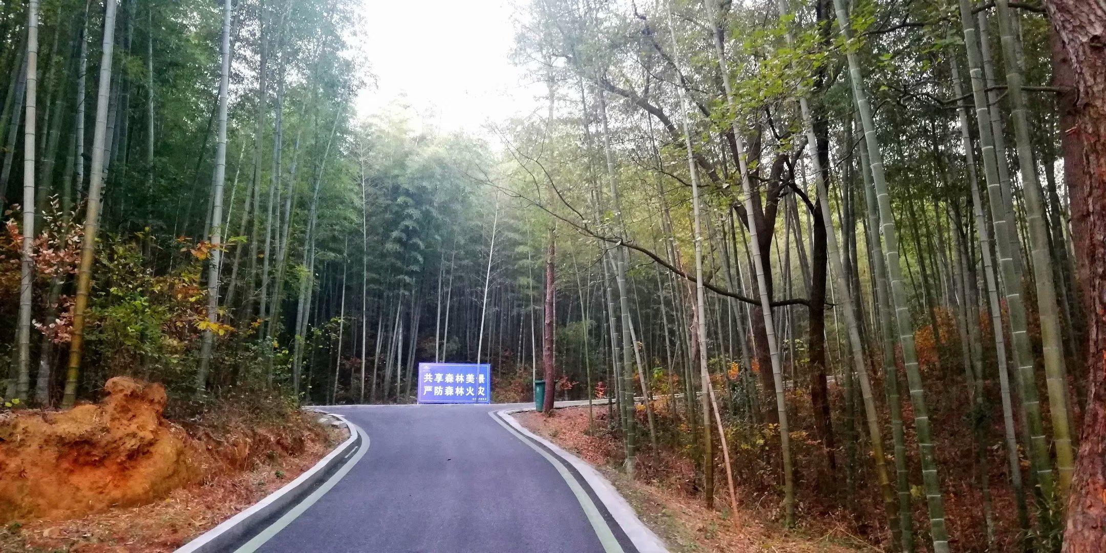 庐江最新天气预报，气象变化及其影响深度解析