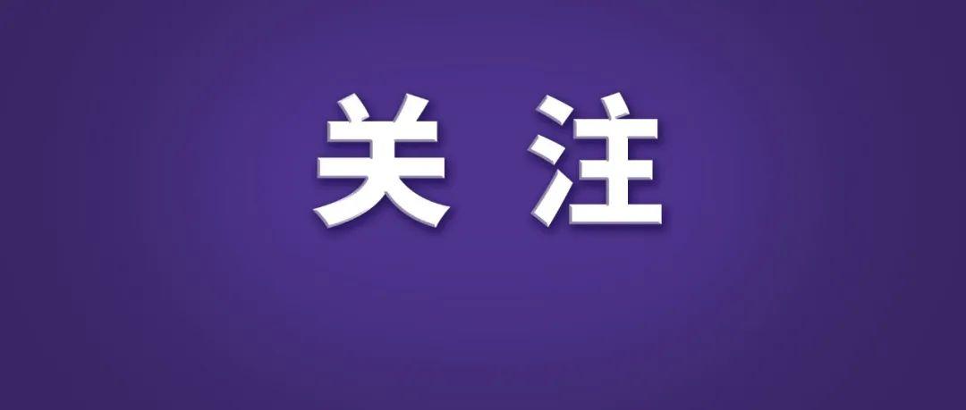 天心玺最新动态，多维度视角下的深度解读